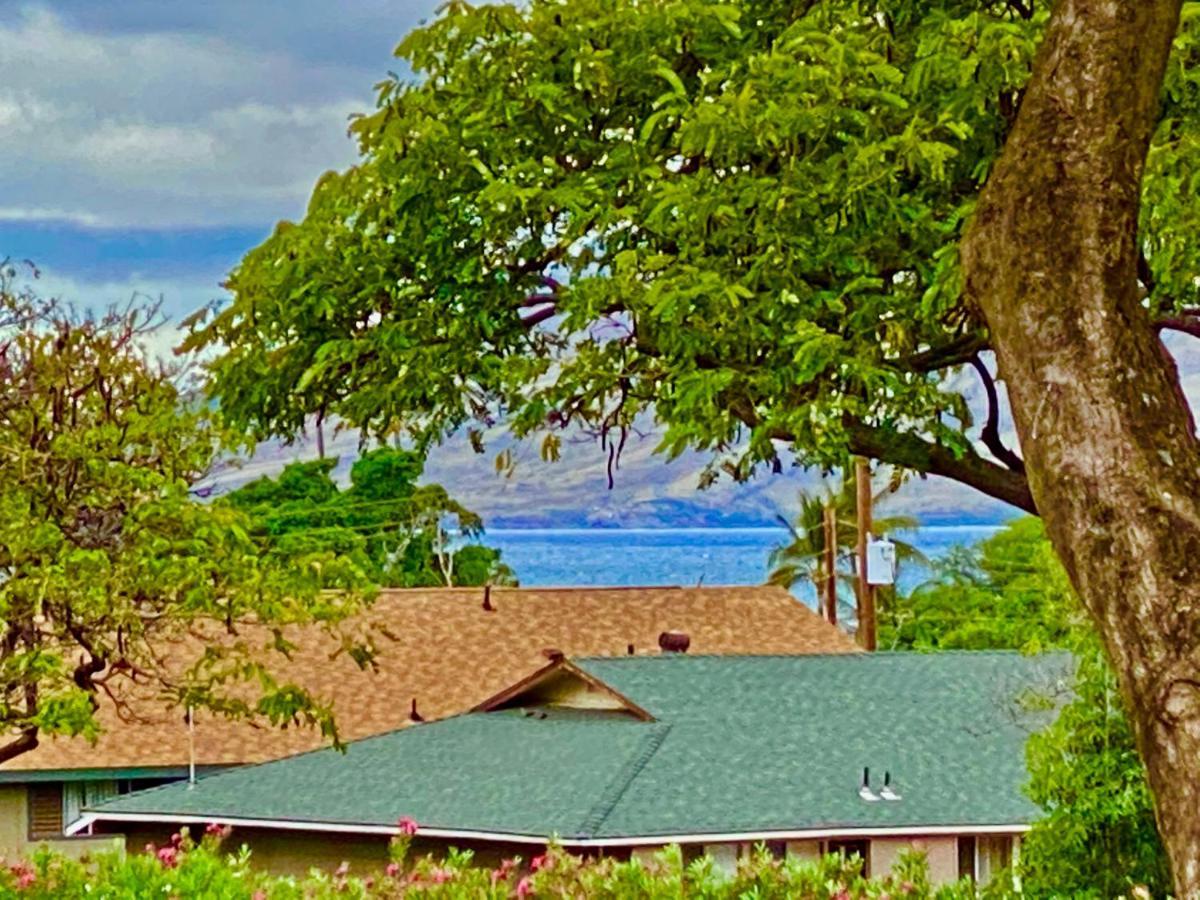 Maui-Licious By The Beach Kihei Eksteriør billede