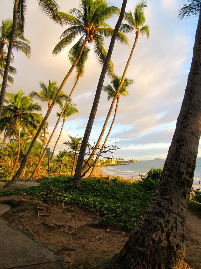 Maui-Licious By The Beach Kihei Eksteriør billede